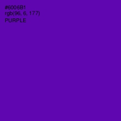 #6006B1 - Purple Color Image