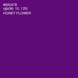 #600A78 - Honey Flower Color Image