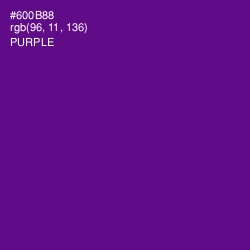 #600B88 - Purple Color Image