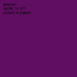 #600E61 - Honey Flower Color Image