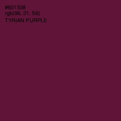 #601538 - Tyrian Purple Color Image