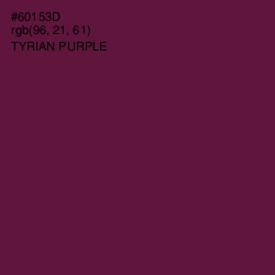 #60153D - Tyrian Purple Color Image