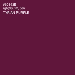 #60163B - Tyrian Purple Color Image