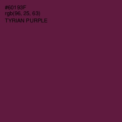 #60193F - Tyrian Purple Color Image