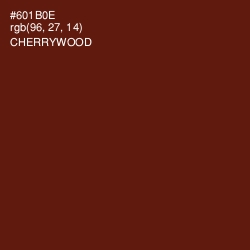 #601B0E - Cherrywood Color Image