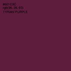 #601C3C - Tyrian Purple Color Image