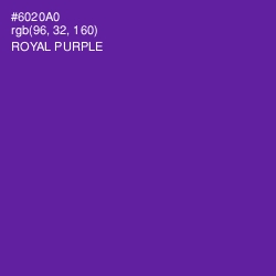 #6020A0 - Royal Purple Color Image