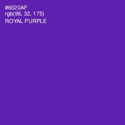 #6020AF - Royal Purple Color Image