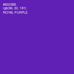 #6020B5 - Royal Purple Color Image