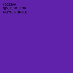 #6022AA - Royal Purple Color Image