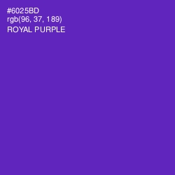 #6025BD - Royal Purple Color Image