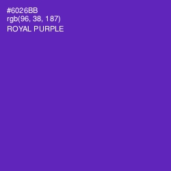 #6026BB - Royal Purple Color Image