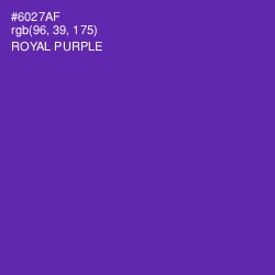 #6027AF - Royal Purple Color Image