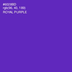 #6028BD - Royal Purple Color Image