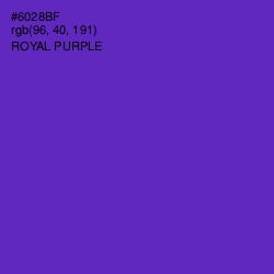 #6028BF - Royal Purple Color Image