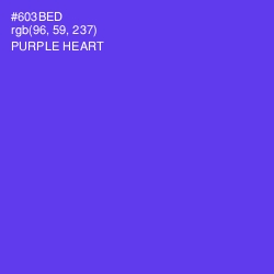 #603BED - Purple Heart Color Image