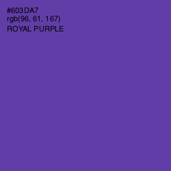 #603DA7 - Royal Purple Color Image