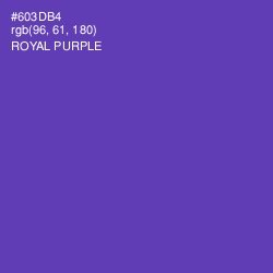 #603DB4 - Royal Purple Color Image