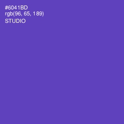 #6041BD - Studio Color Image