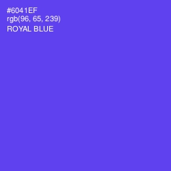 #6041EF - Royal Blue Color Image