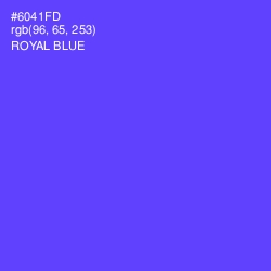 #6041FD - Royal Blue Color Image