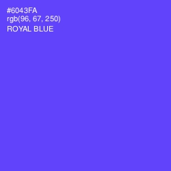 #6043FA - Royal Blue Color Image