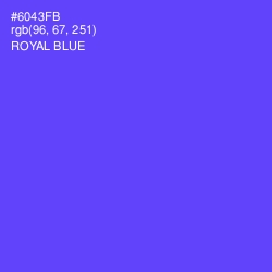 #6043FB - Royal Blue Color Image