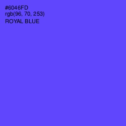 #6046FD - Royal Blue Color Image