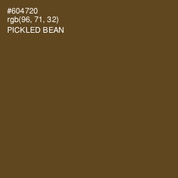 #604720 - Pickled Bean Color Image