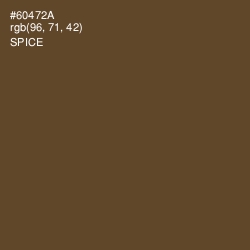 #60472A - Spice Color Image