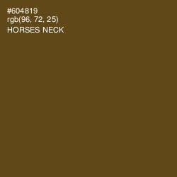 #604819 - Horses Neck Color Image