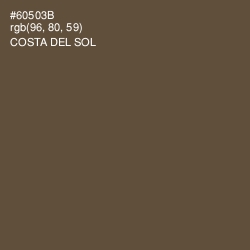 #60503B - Costa Del Sol Color Image