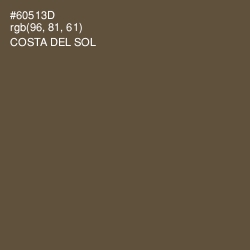 #60513D - Costa Del Sol Color Image