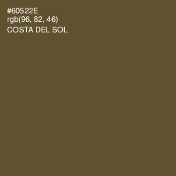 #60522E - Costa Del Sol Color Image