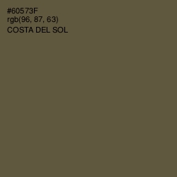 #60573F - Costa Del Sol Color Image