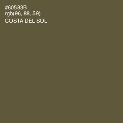 #60583B - Costa Del Sol Color Image