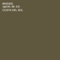 #60583E - Costa Del Sol Color Image