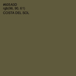 #605A3D - Costa Del Sol Color Image