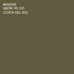 #605A3E - Costa Del Sol Color Image