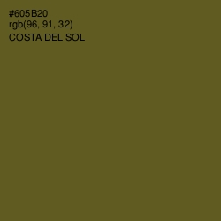 #605B20 - Costa Del Sol Color Image