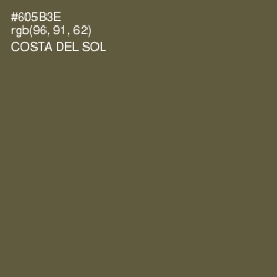 #605B3E - Costa Del Sol Color Image