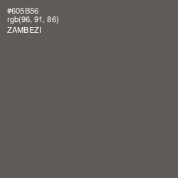 #605B56 - Zambezi Color Image