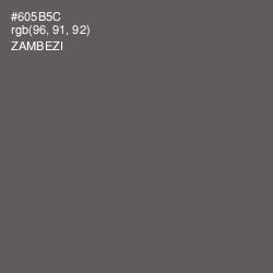 #605B5C - Zambezi Color Image