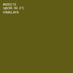 #605C15 - Himalaya Color Image