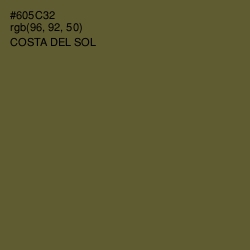 #605C32 - Costa Del Sol Color Image