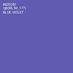#605CB1 - Blue Violet Color Image
