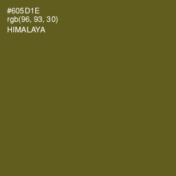 #605D1E - Himalaya Color Image
