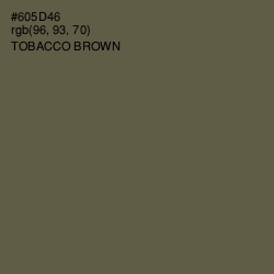 #605D46 - Tobacco Brown Color Image