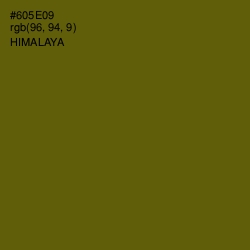 #605E09 - Himalaya Color Image