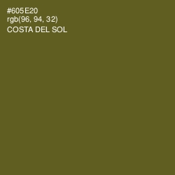 #605E20 - Costa Del Sol Color Image